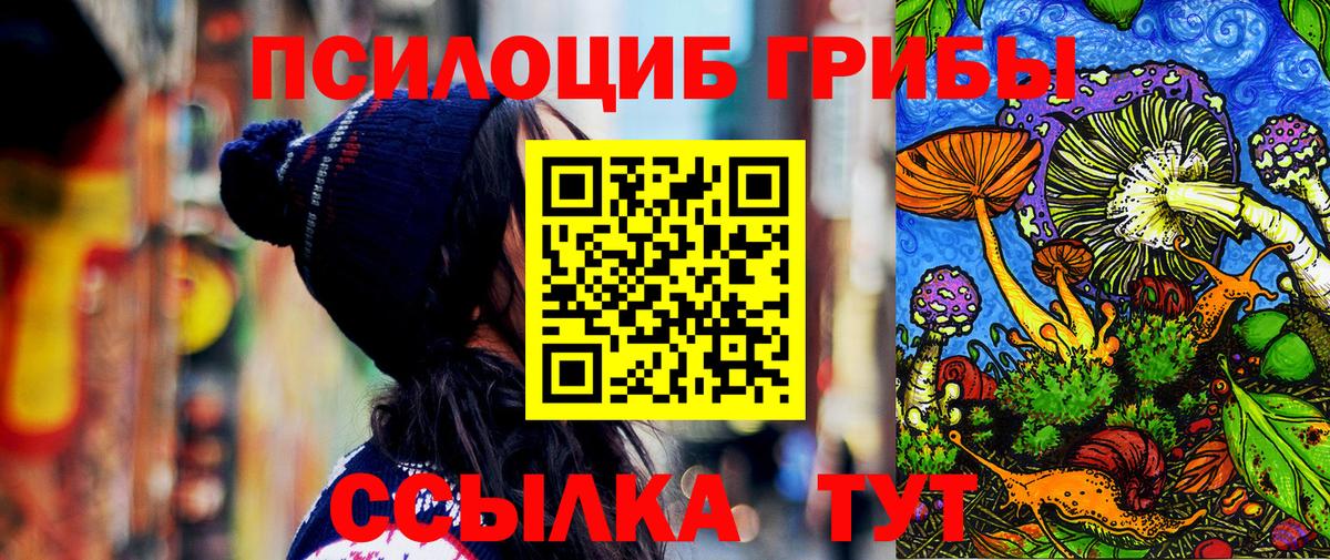 Галлюциногенные грибы мицелий Костомукша