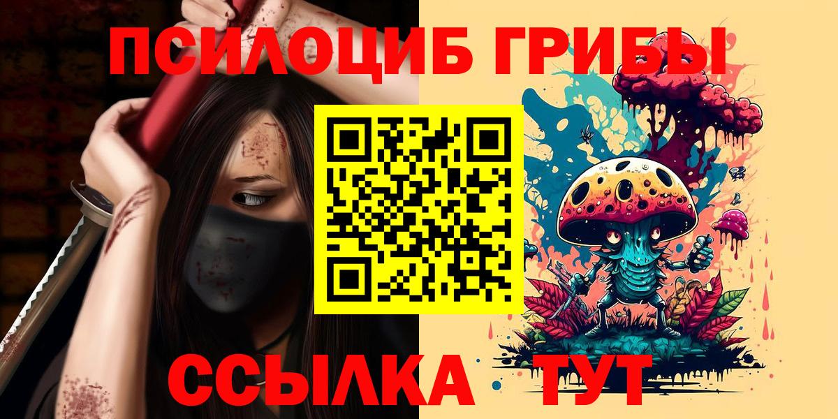 Галлюциногенные грибы Psilocybe  Вход с VPN  Костомукша 